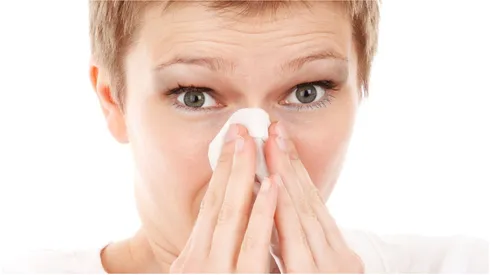 Reprodução/Pixabay