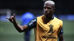 Foto: Ettore Chiereguini/AGIF - Danilo: volante segue sem substituto no Palmeiras