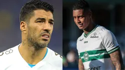 Foto: Gilson Junio/AGIF- Suarez pelo Grêmio. Foto: Robson Mafra/AGIF- Alef Manga pelo Coritiba