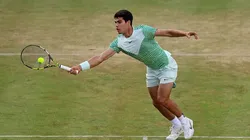 Alcaraz tenta conquistar o seu primeiro título na grama