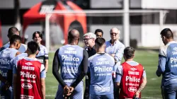 Foto: Raul Baretta/ Santos FC