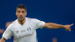 Suárez com a camisa do Grêmio.