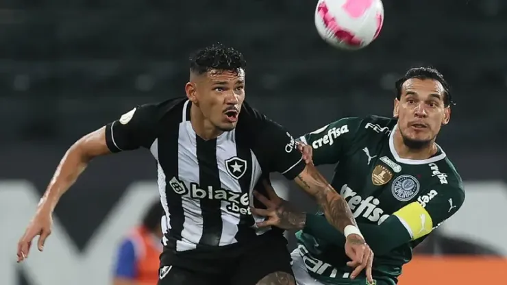 Cesar Greco/Palmeiras
