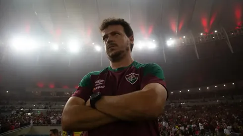 Foto: Marcelo Gonçalves/Fluminense/Divulgação - Diniz: técnico insistiu por reforço no Flu