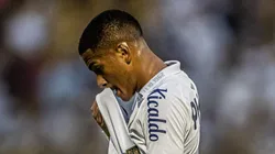Foto: Reprodução / Divulgação / Flickr Santos
