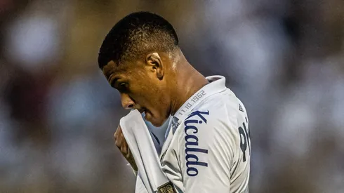 Foto: Reprodução / Divulgação / Flickr Santos