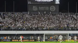 Foto: Fernanda Luz/AGIF Santos não terá torcida contra o Flamengo