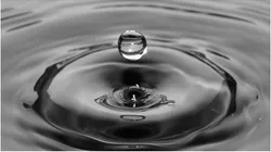 Reprodução/Pixabay