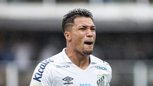 SP - SANTOS - 19/02/2023 - PAULISTA 2023, SANTOS X PORTUGUESA - Marcos Leonardo jogador do Santos comemora seu gol com jogadores do seu time durante partida contra o Portuguesa no estadio Vila Belmiro pelo campeonato Paulista 2023. Foto: Abner Dourado/AGIF