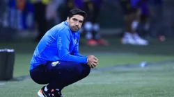 Abel perde mais um volante no Palmeiras para a sequência da temporada