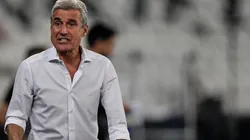 Foto: Thiago Ribeiro/AGIF - Luís Castro: técnico do Botafogo criticou a CBF