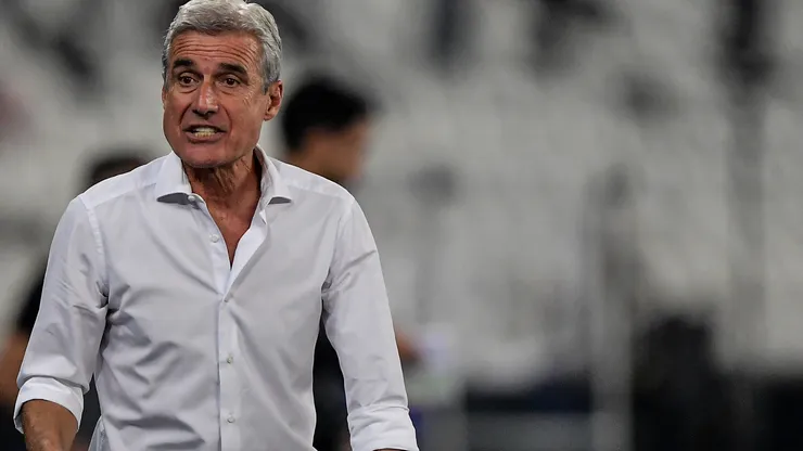Foto: Thiago Ribeiro/AGIF - Luís Castro: técnico do Botafogo criticou a CBF