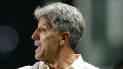 MG - BELO HORIZONTE - 22/04/2023 - BRASILEIRO A 2023, CRUZEIRO X GREMIO - Renato Gaucho tecnico do Gremio durante partida contra o Cruzeiro no estadio Independencia pelo campeonato BRASILEIRO A 2023. Foto: Gilson Junio/AGIF