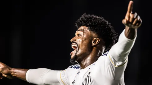 Foto: Raul Baretta/Santos - Eduardo Bauermann recebeu proposta da Turquia e pode sair do Brasil