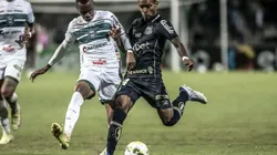 Foto: Ivan Storti/Santos
