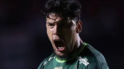 Foto: Ettore Chiereguini/AGIF - Gustavo Gómez é adorado pela torcida do Palmeiras