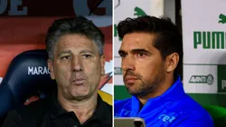 Agif/Bruno Baketa e Marcello Zambrana - Renato e Abel viram tema na web