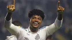 Bauermann teve pena declarada em 12 jogos e ainda poderá voltar a disputar o Brasileiro
