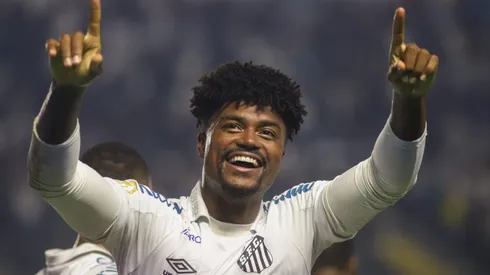 Bauermann teve pena declarada em 12 jogos e ainda poderá voltar a disputar o Brasileiro