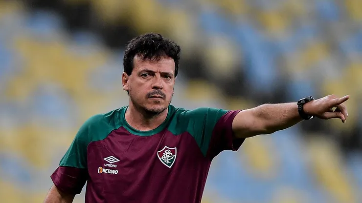 RJ - RIO DE JANEIRO - 29/07/2023 - BRASILEIRO A 2023, FLUMINENSE X SANTOS - Fernando Diniz tecnico do Fluminense durante partida contra o Santos no estadio Maracana pelo campeonato Brasileiro A 2023. Foto: Thiago Ribeiro/AGIF