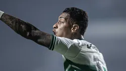 Manga em ação pelo Coxa