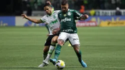 Foto: Cesar Greco/Palmeiras