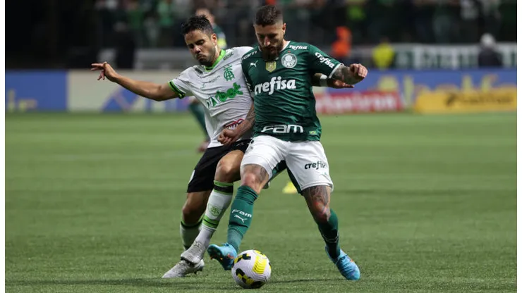 Foto: Cesar Greco/Palmeiras