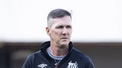 SP - SANTOS - 23/07/2023 - BRASILEIRO A 2023, SANTOS X BOTAFOGO - Paulo Turra tecnico do Santos durante partida contra o Botafogo no estadio Vila Belmiro pelo campeonato Brasileiro A 2023. Foto: Abner Dourado/AGIF