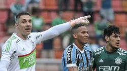 SP - Sao Paulo - 14/10/2018 - Brasileiro A 2018 - Palmeiras X Gremio - Fernando Prass do Palmeiras durante partida contra o Gremio no estadio Pacaembu pelo campeonato Brasileiro A 2018. Foto: Ale Cabral/AGIF