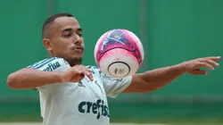 Papagaio desembarca em BH e declaração do jogador sobre jogar no Cruzeiro inflama a torcida