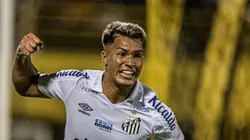 Foto: Divulgação Flickr Santos - Marcos Leonardo é sincero em entrevista