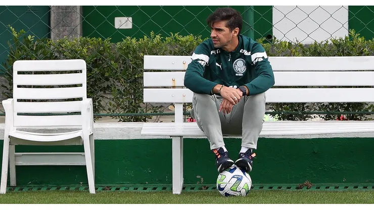 Jornalista volta a cutucar Abel e entra em rota de colisão com a torcida do Palmeiras