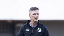 SP - SANTOS - 23/07/2023 - BRASILEIRO A 2023, SANTOS X BOTAFOGO - Paulo Turra tecnico do Santos durante partida contra o Botafogo no estadio Vila Belmiro pelo campeonato Brasileiro A 2023. Foto: Abner Dourado/AGIF