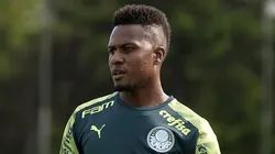 SP - Sao Paulo - 21/01/2020 - Treino do Palmeiras - Pedrao durante treino do Palmeiras no CT Academia de Futebol. Foto: Bruno Ulivieri/AGIF