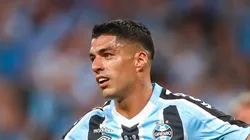 FOTO: Reprodução Flickr Grêmio/LUCAS UEBEL/GREMIO FBPA - Suárez pode ser substituído no Grêmio