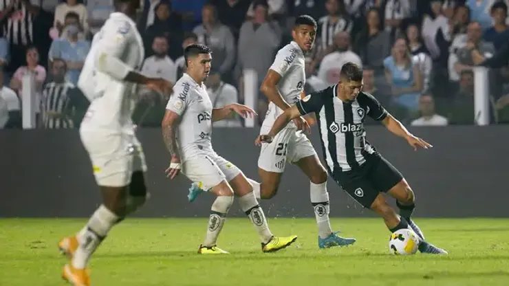 Vitor Silva/Botafogo