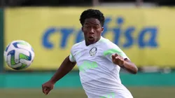 Foto: Cesar Greco/Palmeiras - Endrick em ação pelo Alviverde