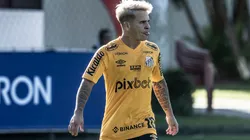 Sport tenta tirar Soteldo do Santos e resposta do atacante surpreende a todos no Leão