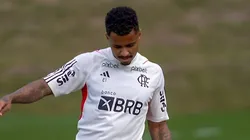 Foto: Reprodução Site Oficial Flamengo/Marcelo Cortes - Allan pode impactar muito o Flamengo