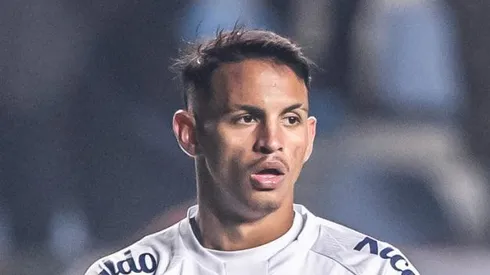 Foto: Raul Baretta/ Santos FC