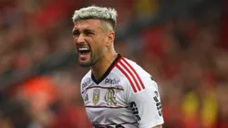 Foto: Gilvan de Souza / CRF - Arrasca vem crescendo de produção