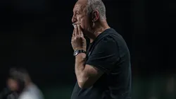 Foto: Isabela Azine/AGIF- Felipão ainda não venceu no comando do Galo