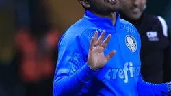 SP - SAO PAULO - 08/07/2023 - BRASILEIRO A 2023, PALMEIRAS X FLAMENGO - Abel Ferreira tecnico do Palmeiras durante partida contra o Flamengo no estadio Arena Allianz Parque pelo campeonato Brasileiro A 2023. Foto: Ettore Chiereguini/AGIF