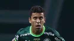 Foto: Divulgação Flickr Palmeiras/Cesar Greco - Marcos Rocha vira notícia no Palmeiras