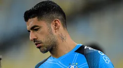 Foto: Thiago Ribeiro/AGIF - Camisa 9 do Grêmio vai ficar no Brasil.