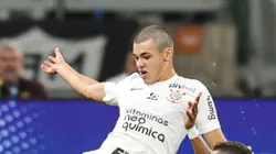 Moscardo em ação diante do Galo