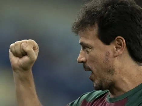 Fluminense age na calada e reforço chega liberado para ser acionado por Diniz