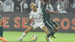 Foto: Ivan Storti/Santos FC