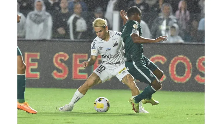Foto: Ivan Storti/Santos FC