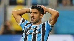 Foto: Pedro H. Tesch/AGIF - Grêmio fica "desesperado" após Suárez estudar tratamento longe.